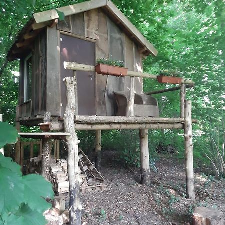 Hotel Baumhausnaechte à Ladbergen Extérieur photo